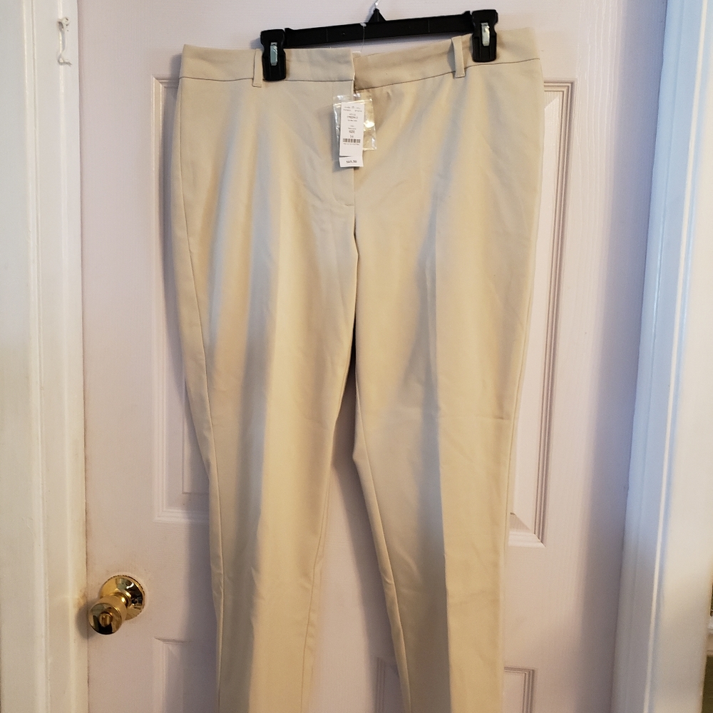 Women's dress pants
